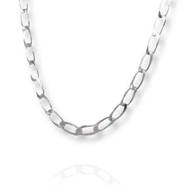 Silver Curb Link Necklace